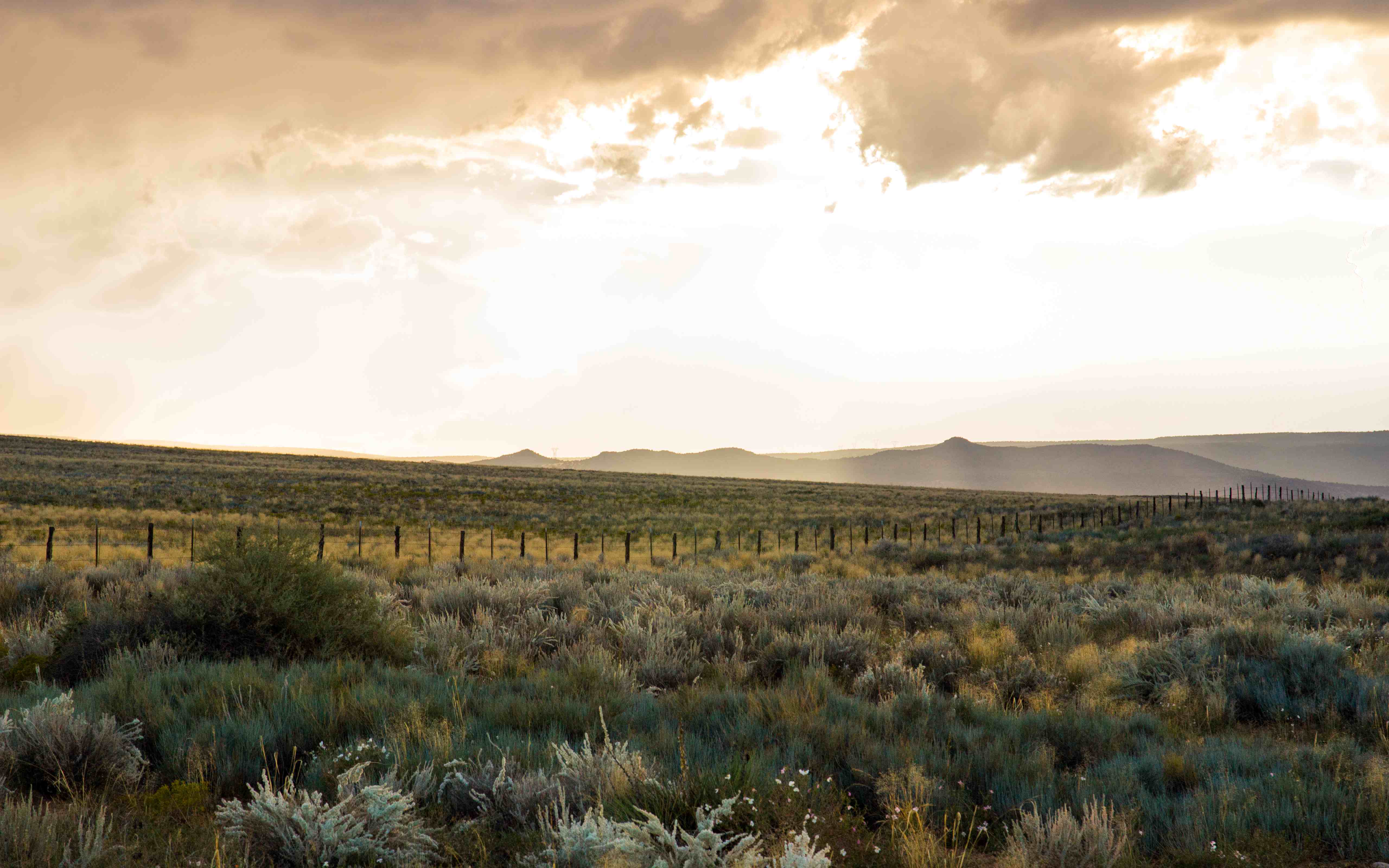 MySQL创建账号、授权